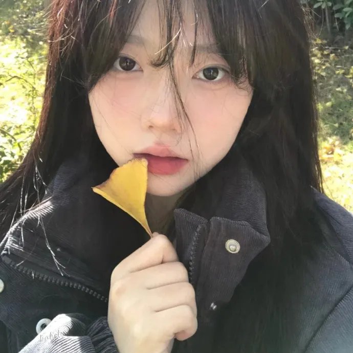 爱情游戏